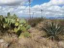 photo thumbnail #9