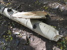 photo thumbnail #2