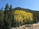 photo thumbnail #12