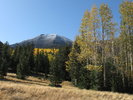 photo thumbnail #13