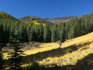 photo thumbnail #1