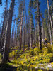 photo thumbnail #8