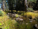 photo thumbnail #10