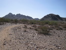 photo thumbnail #4