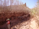 photo thumbnail #6