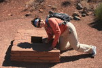 photo thumbnail #9