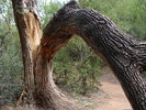 photo thumbnail #1