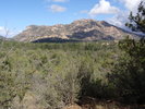 photo thumbnail #2