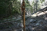 photo thumbnail #8