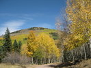 photo thumbnail #15