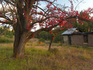 photo thumbnail #1