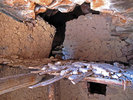 photo thumbnail #15