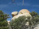 photo thumbnail #4