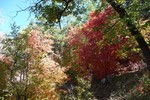 photo thumbnail #9