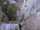 photo thumbnail #13