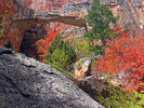 photo thumbnail #5