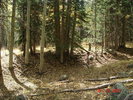 photo thumbnail #9