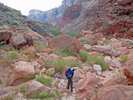 photo thumbnail #9