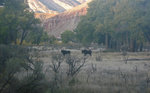 photo thumbnail #13