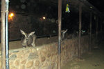 photo thumbnail #9