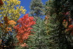 photo thumbnail #4