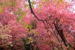 photo thumbnail #13