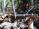 photo thumbnail #7