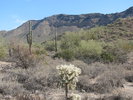 photo thumbnail #6