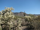photo thumbnail #7