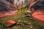 photo thumbnail #3
