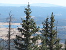 photo thumbnail #10
