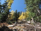 photo thumbnail #11