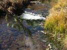 photo thumbnail #12