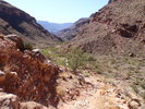 photo thumbnail #9
