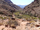 photo thumbnail #10