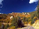 photo thumbnail #2