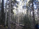 photo thumbnail #6
