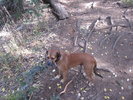 photo thumbnail #7