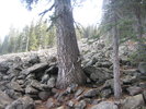 photo thumbnail #9