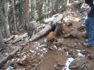photo thumbnail #11