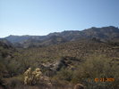 photo thumbnail #4