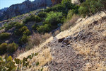 photo thumbnail #5