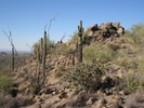 photo thumbnail #3