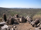 photo thumbnail #12