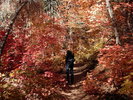photo thumbnail #9