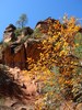 photo thumbnail #12