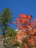 photo thumbnail #15