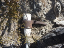 photo thumbnail #12