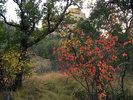 photo thumbnail #4