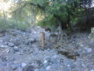 photo thumbnail #12